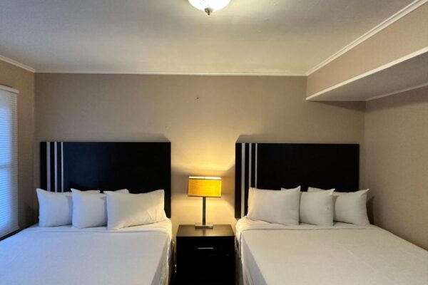 Signature Suite